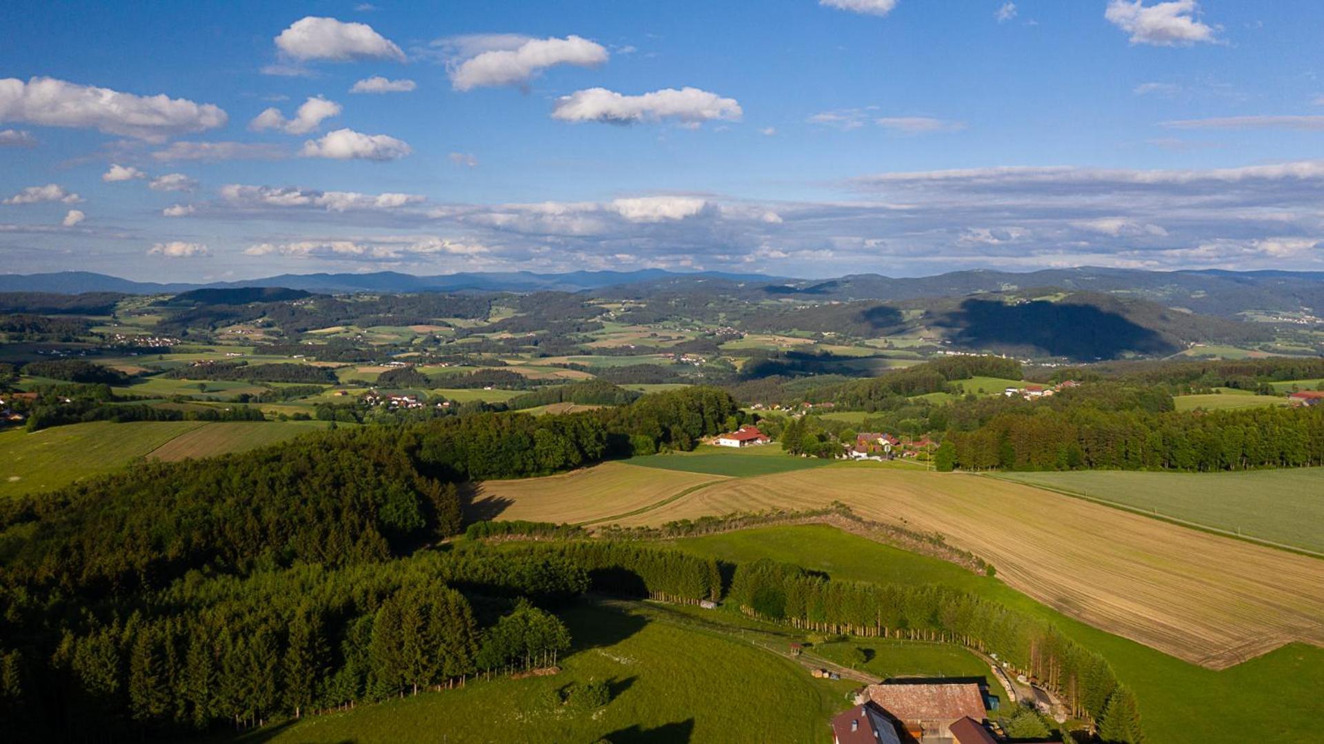 Ferienwohnung „Rose“ Wiesenfelden Exteriör bild
