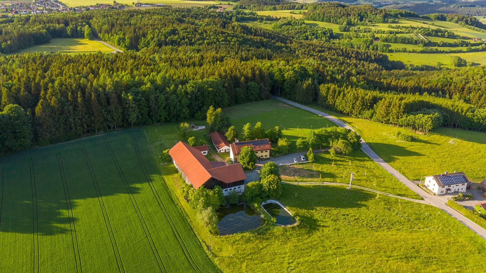 Ferienwohnung „Rose“ Wiesenfelden Exteriör bild
